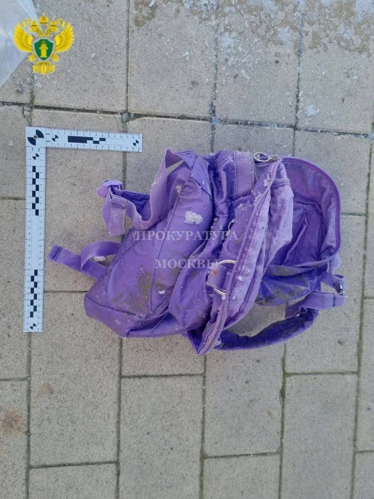 В Москве в пруду обнаружили рюкзак с фрагментом тела ребенка