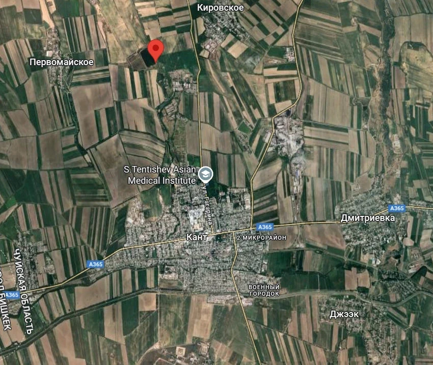 Погибло 90 тонн рыбы. Жалоба бизнесмена и комментарий милиции