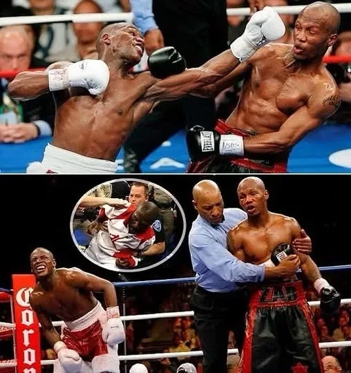 Заб Джуда вспоминает бой с Мейвезером: «Его дядя Роджер душил меня, пока я не вырубился!