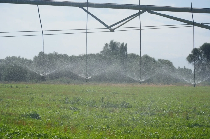 Узбекистан предложил Центральной Азии создать Цифровой аграрный альянс