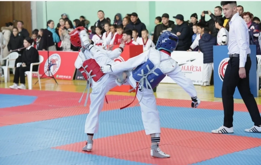 В Бишкеке состоится международный турнир по таэквондо Ramis Cup IV