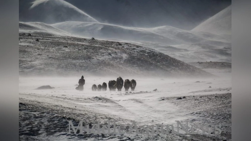 Монголия предупреждает об экстремально холодной погоде