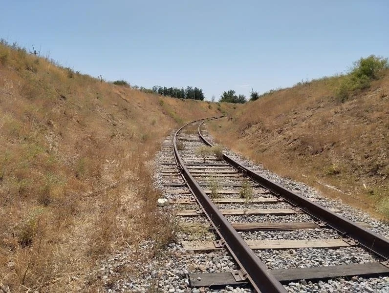 На границе Казахстана и Узбекистана скопилось 11 тысяч вагонов