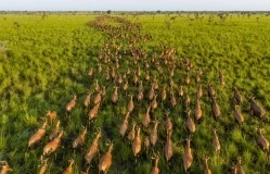 National Geographic назвал лучшие фотографии 2025 года