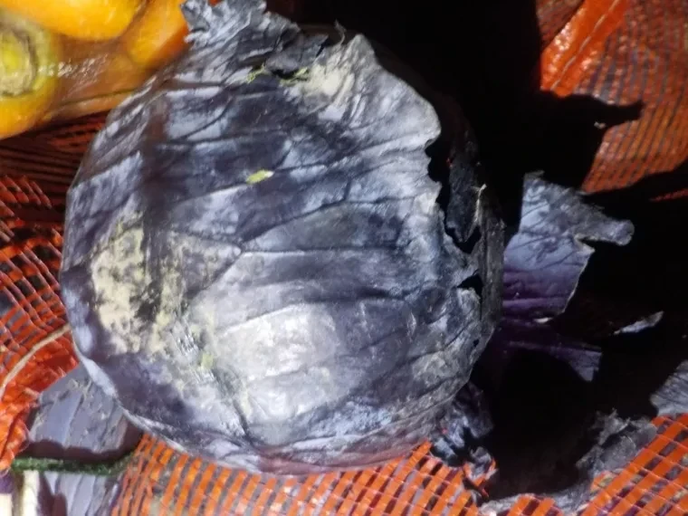 На границе с Россией задержали 21 тонну овощей из Кыргызстана