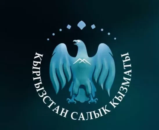 Налоговая служба Кыргызстана внедрила сервис онлайн-перерегистрации ИП