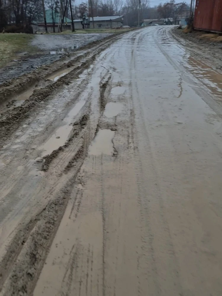 "Грязи по колено". Жители села Сокулук жалуются на состояние дороги