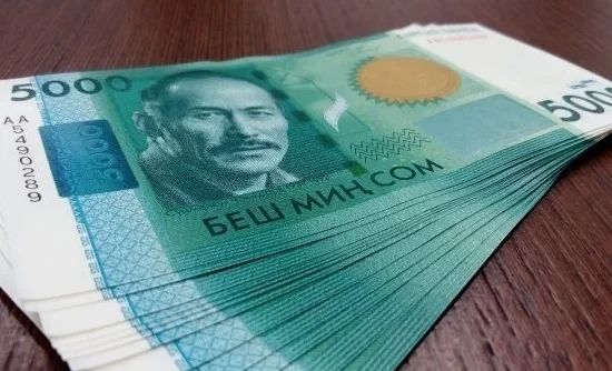 Соцфонд увеличил инвестиции в 2025 году: опубликована структура доходов и вложений