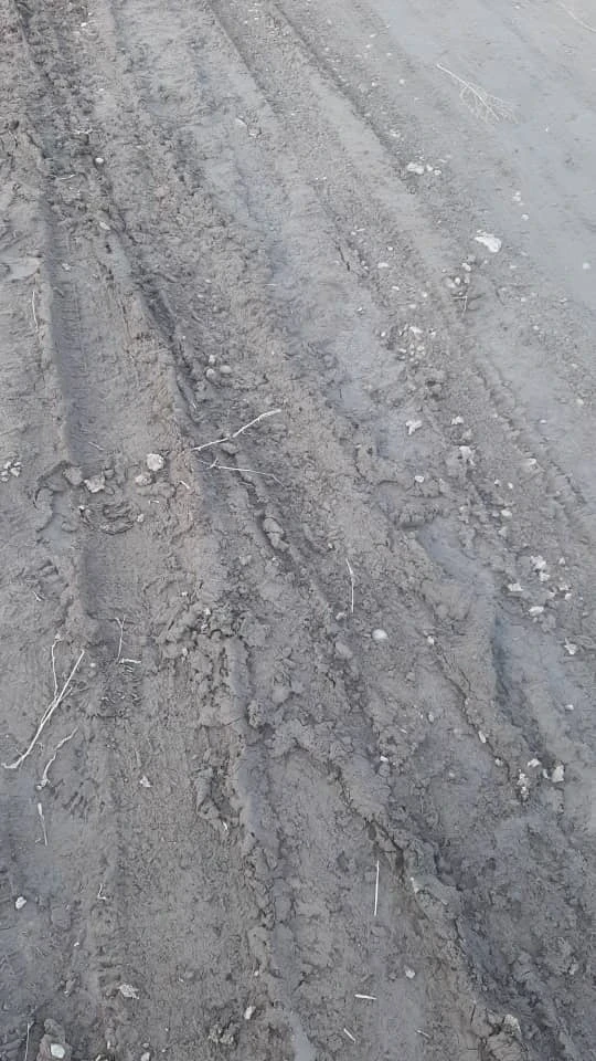 "Дети и взрослые идут по грязи". Жители "Биримдика" просят сделать тротуар