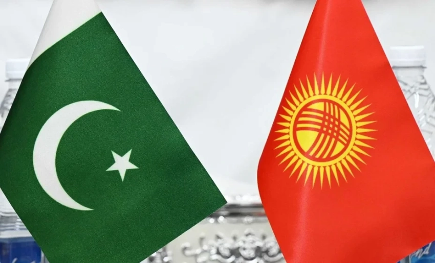 Кыргызстан и Пакистан могут значительно нарастить объемы торговли