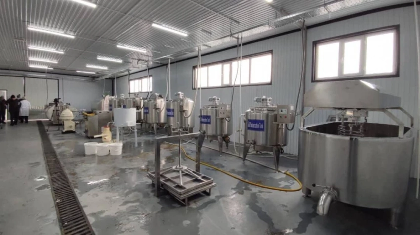 В Нарынской области заработал новый цех по переработке молока