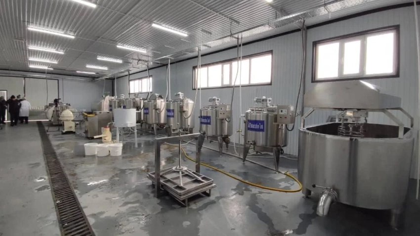 В Ак-Талаинском районе открыли предприятие по переработке молока