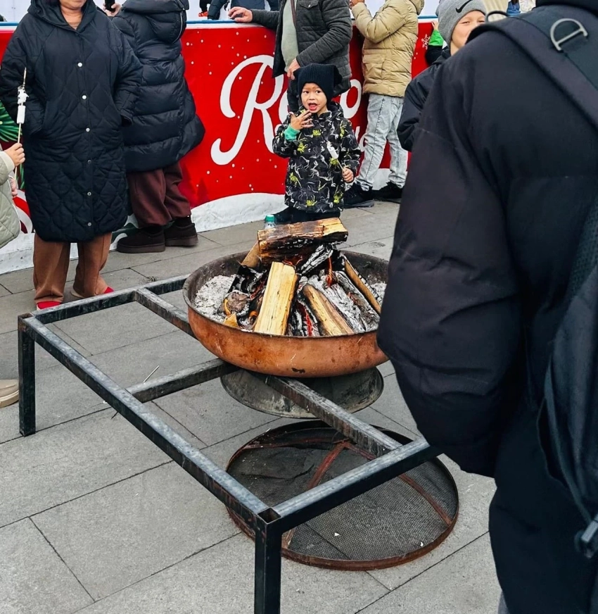 Минприроды оштрафовало человека за разведение огня на площади Ала-Тоо