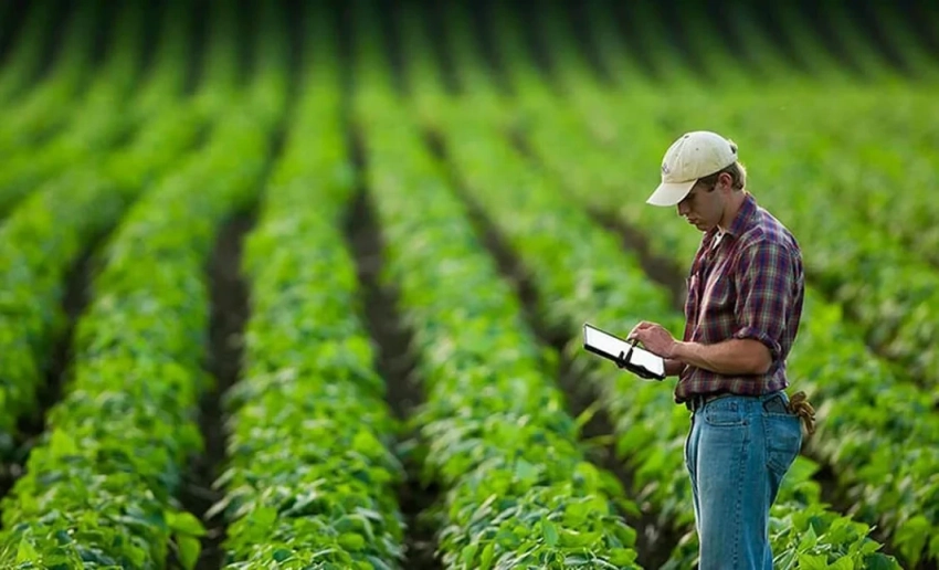 Минсельхоз проведет бесплатные тренинги для фермеров в южных регионах