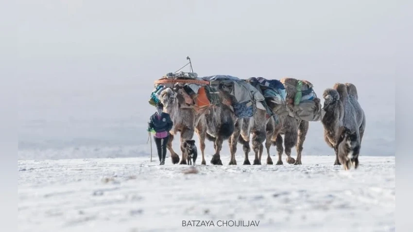 В бассейнах рек Улз и Халх ожидаются снегопады и метели