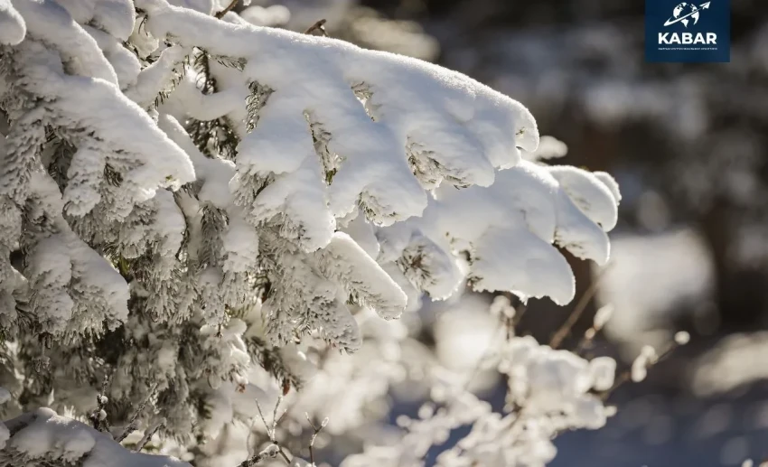 Морозы до −14° и снег: прогноз погоды в Бишкеке на неделю