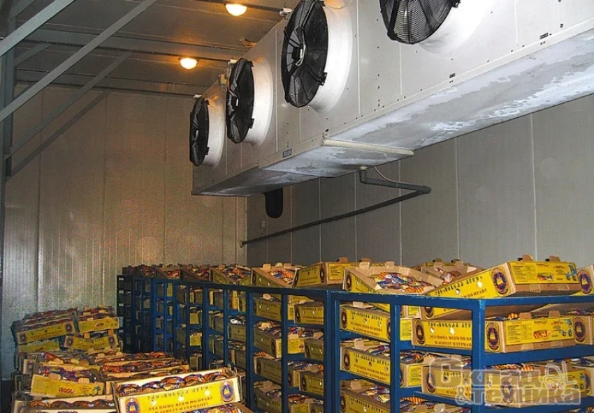 «Кыргызэкспорт» планирует создать логистический центр в Новосибирске