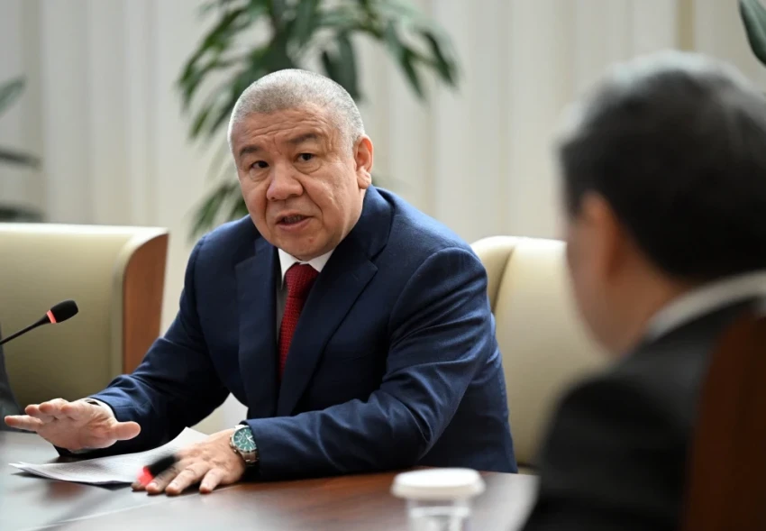 Садыр Жапаров и глава ГНС обсудили реформу налоговой системы страны и "Салык кузот"