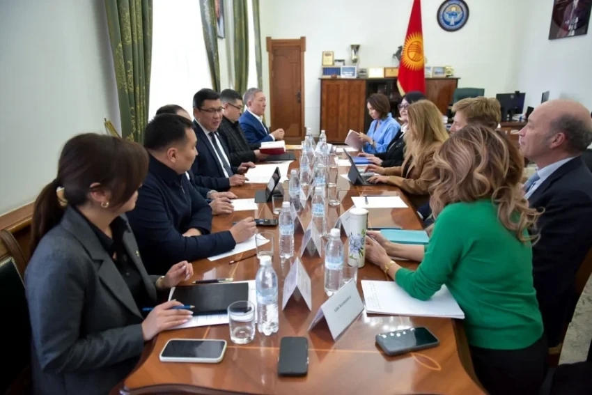 Зеленый пояс Бишкека. Поступило 50 тысяч саженцев для озеленения столицы