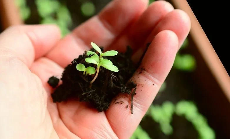 Где сделать анализ почвы в Кыргызстане? Список лабораторий по областям