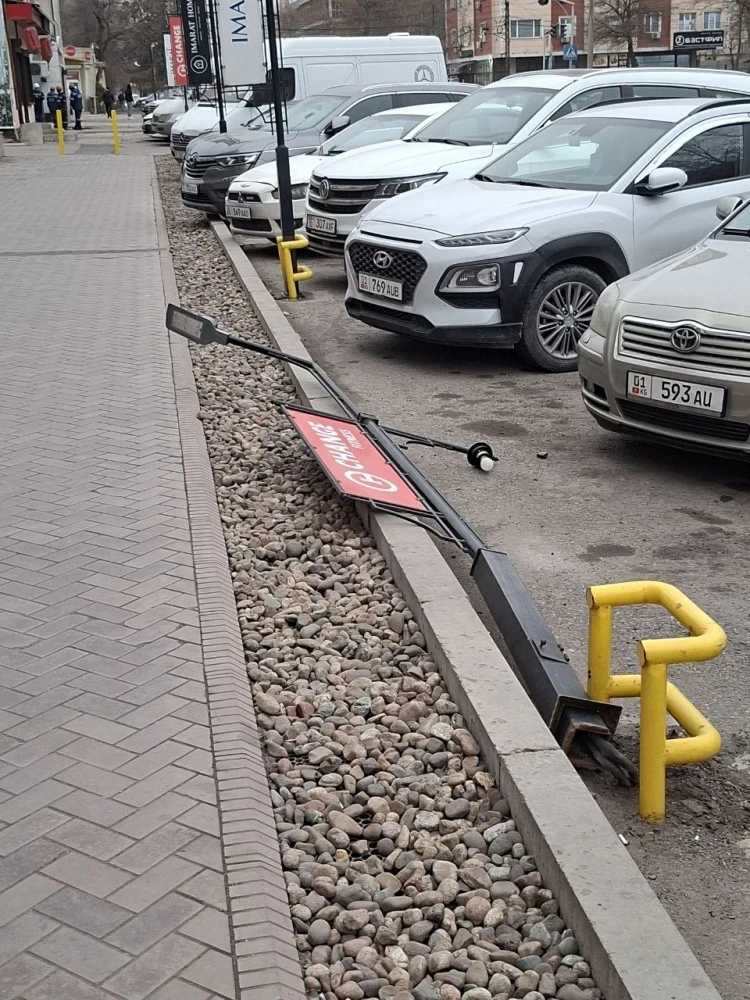 В Бишкеке разбушевался сильный ветер