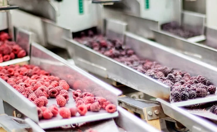 АгроДиалог – 2026. Переработчики поделились технологиями хранения и заморозки продукций