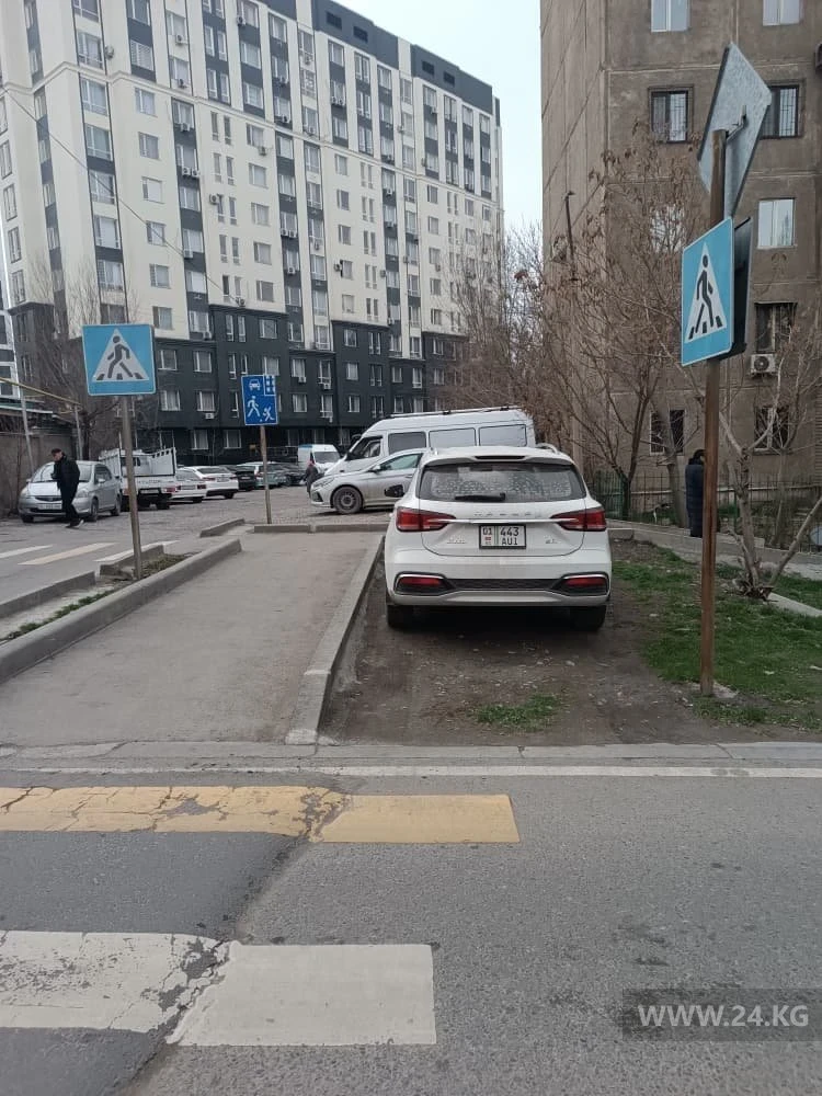 Чудаки парковки. Оставлять машины на газонах — норма для автомобилистов Бишкека