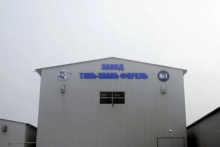 «Тянь-Шань Форель»: за отечественный корм обещают компенсации в двойном размере