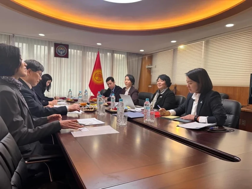 В Корее Динара Кемелова провела консультации по горным вопросам с рядом организаций