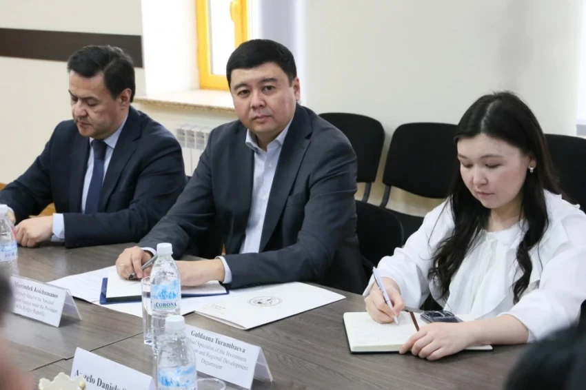 Кыргызстан укрепляет инвестиционное взаимодействие с Италией