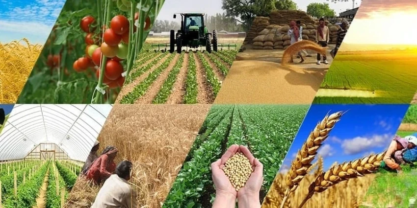 Сельхозпродукция Кыргызстана покоряет рынки более 80 стран мира