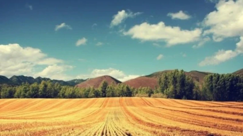 В Кыргызстане нашли 614 тысяч гектаров бесхозных земель