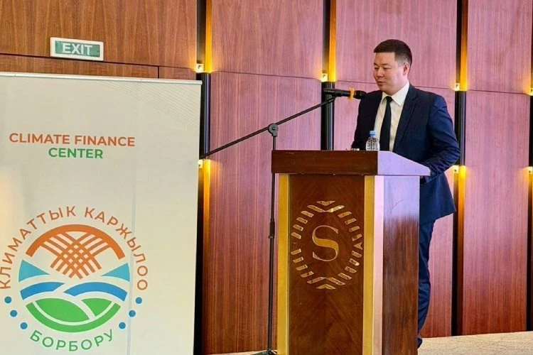 Кыргызстан планирует ежегодно ввозить до 15 тысяч электромобилей