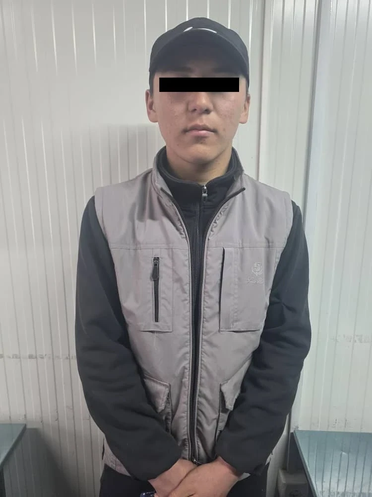 На кыргызско-таджикской границе пресекли незаконный перегон скота