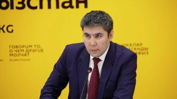 Минэкономики: Кыргызстан продолжит развивать сотрудничество в ЕАЭС