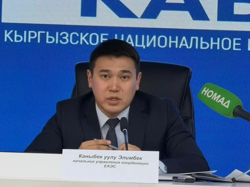 В конце марта в Шымкенте пройдет заседание ЕМПС. Что обсудят?