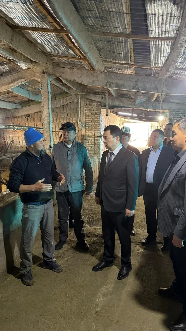 Глава Минсельхоза посетил племенные хозяйства в Таласском районе