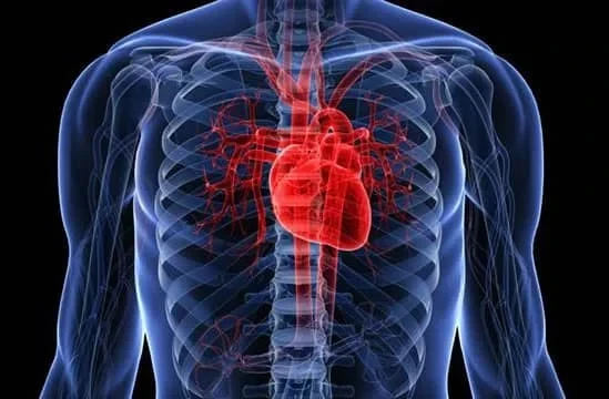 В Кыргызстане болезни сердца и сосудов составляют 52,3% всех случаев смертности