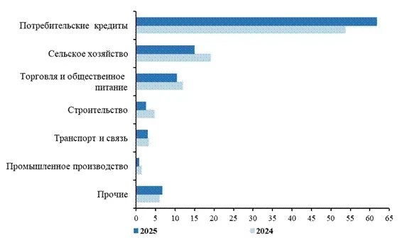В Кыргызстане около 62% выданных в 2025 году микрокредитов направлено на потребительские нужды