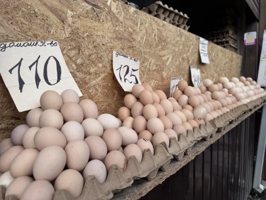 Почему яйца в Кыргызстане стали "золотыми"? Названы три причины