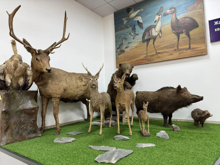 100-летний юбилей: Главный зоомузей Кыргызстана нуждается в новом здании