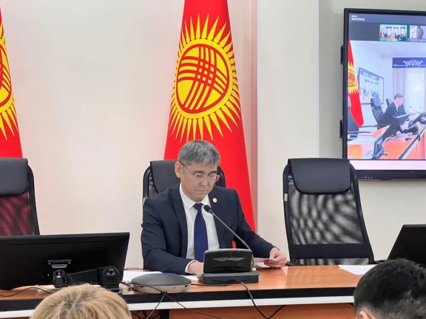 В Минздраве обсудили меры по снижению материнской смертности