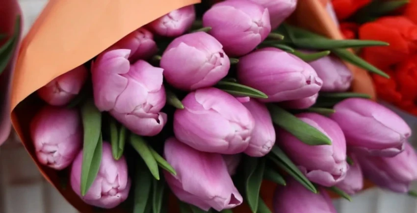 В Узбекистане вырос спрос на цветы из Кыргызстана