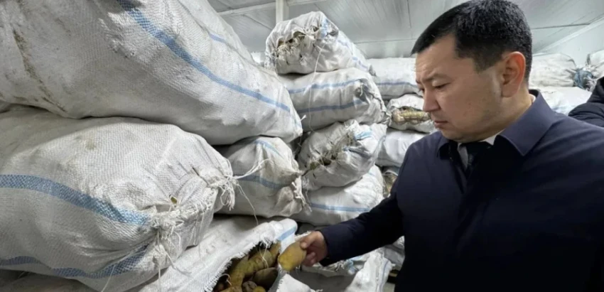 Кыргызские абрикосы и морковь на турецких рынках: в Араванском районе открыли логистический центр за 21 млн сомов