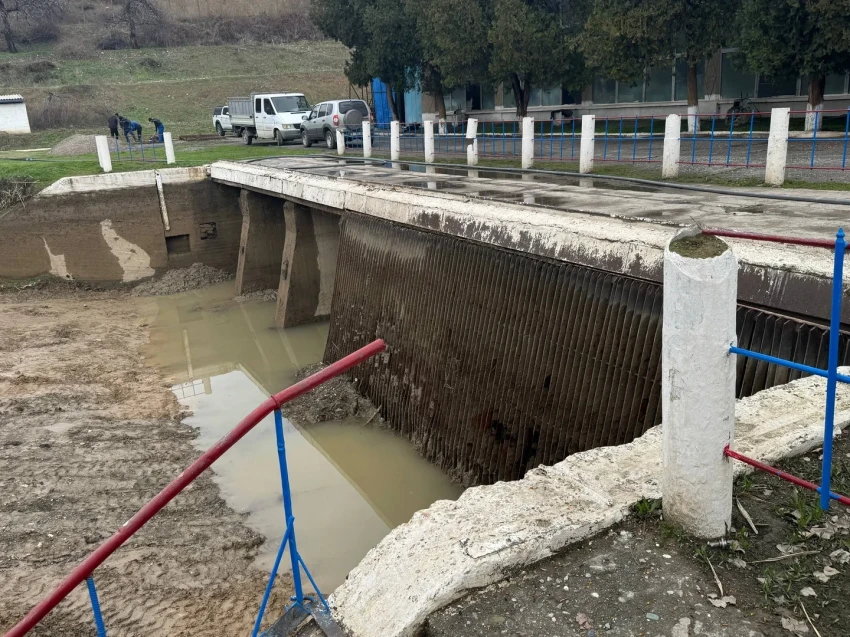 Минсельхоз рассматривает запуск второй секции насосной станции «Достук»