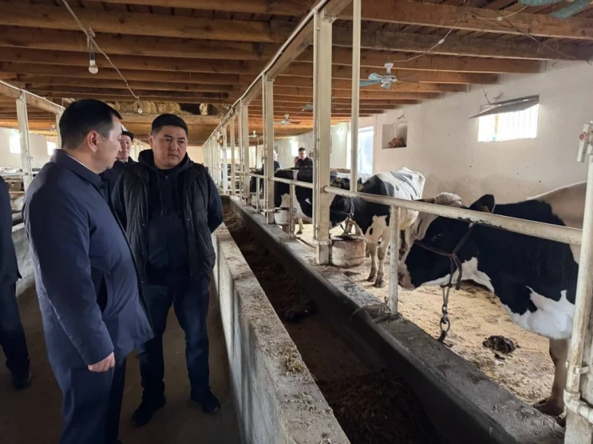 Глава Минсельхоза проинспектировал передовое хозяйство в Сузаке