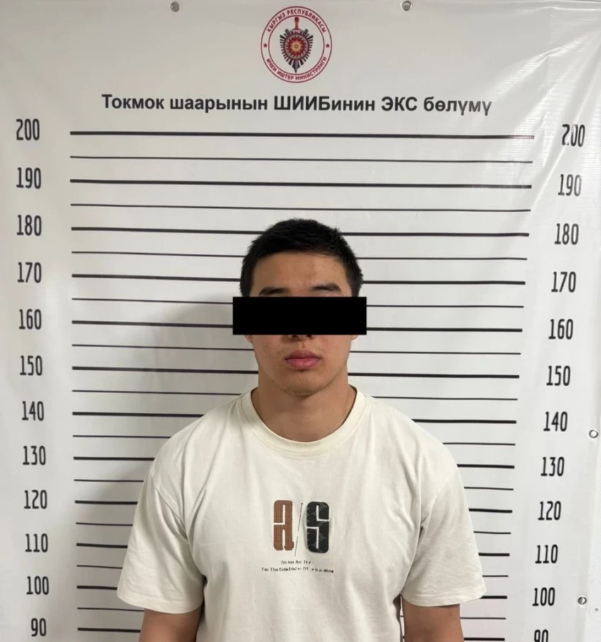 В Чуйской области задержаны подозреваемые в совершении хулиганства