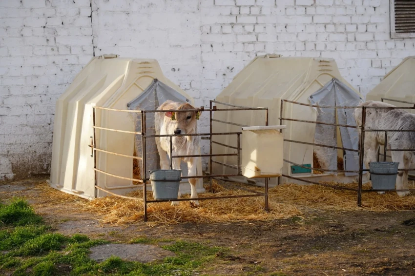 Эрлист Акунбеков ознакомился с деятельностью агрофирмы «Чабрец»