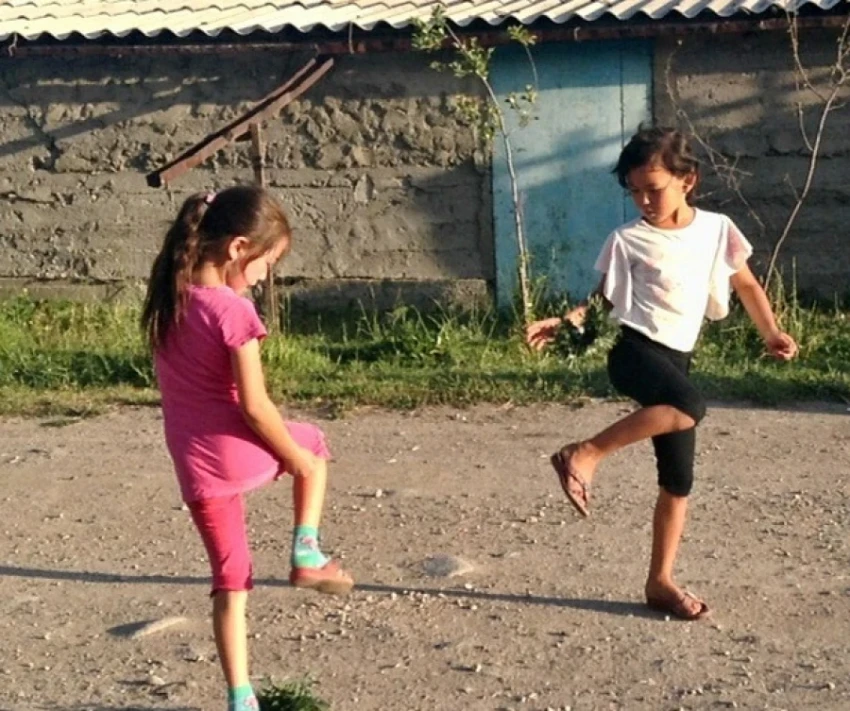 С сентября в Физкультурной академии могут начать преподавать "лянгу"