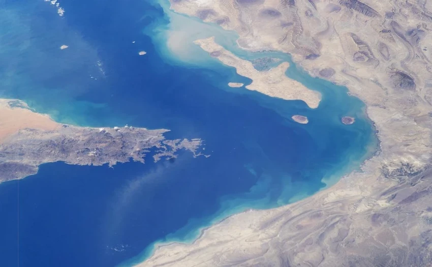 Рост цен. Экстренное обсуждение ситуации на рынке энергоносителей созывает IEA